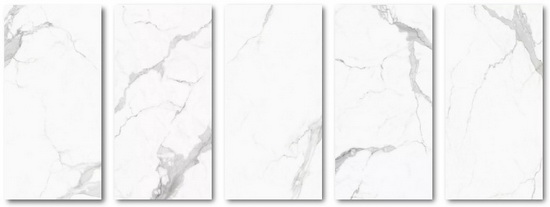 尊龙凯时官网版登录·(中国)官网