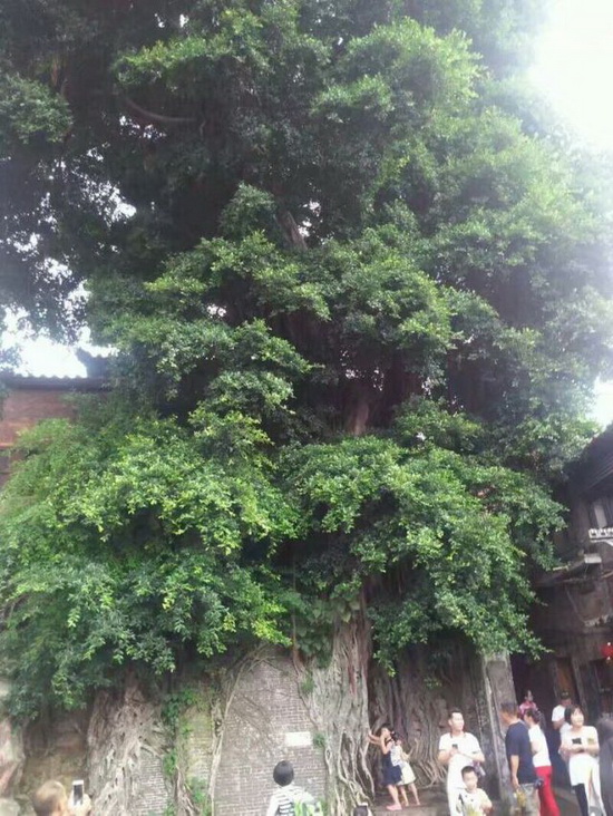 尊龙凯时官网版登录·(中国)官网