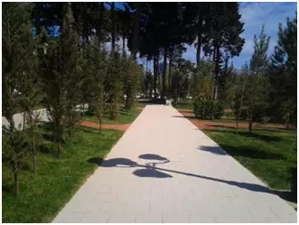 尊龙凯时官网版登录·(中国)官网