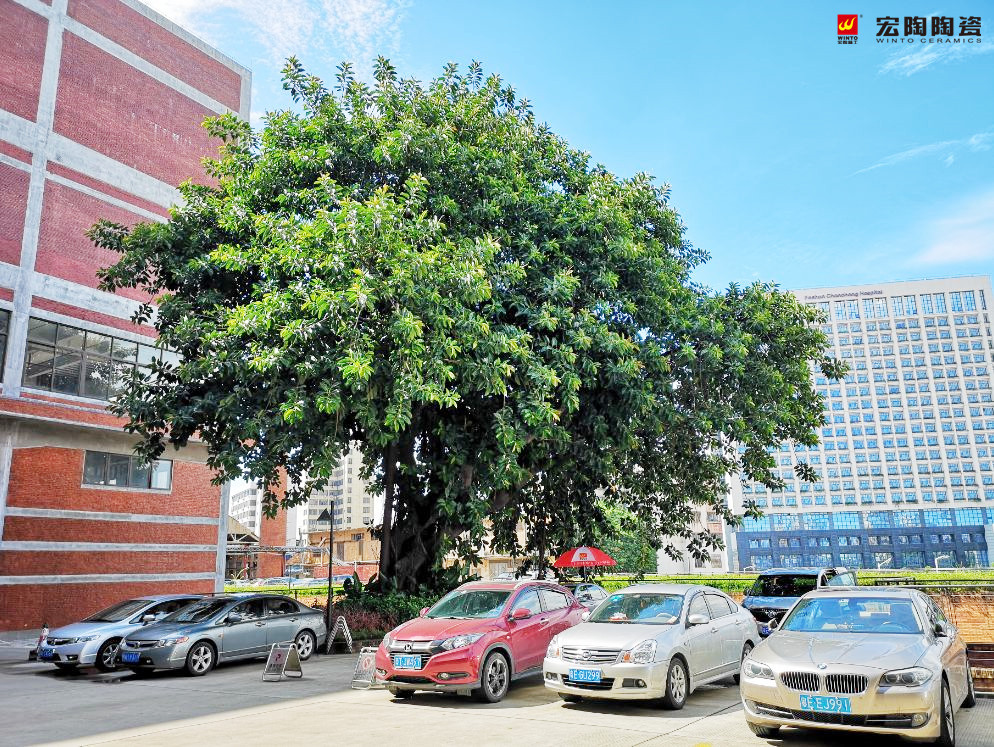 尊龙凯时官网版登录·(中国)官网