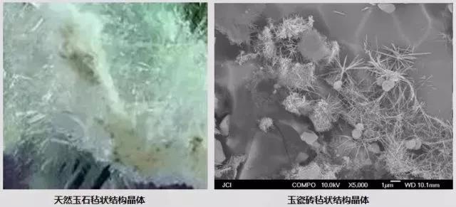 尊龙凯时官网版登录·(中国)官网