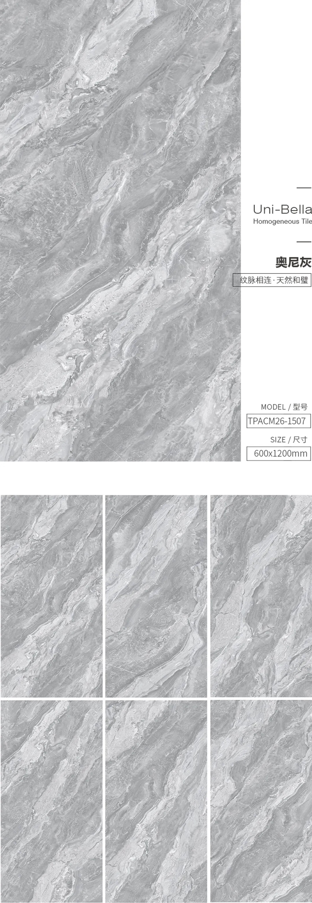 尊龙凯时官网版登录和璧岩·通体灰色瓷砖地砖