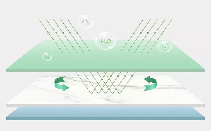 佛山尊龙凯时官网版登录图片