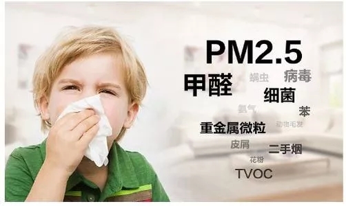 尊龙凯时官网版登录康健净界瓷砖地砖