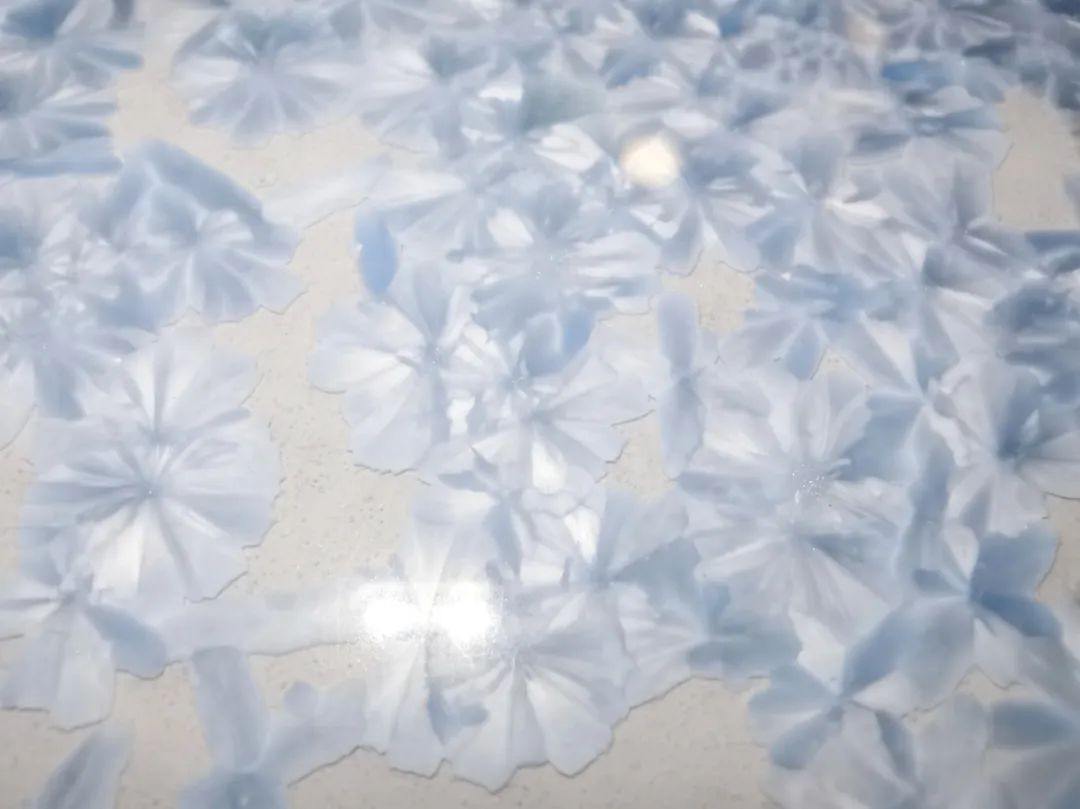 尊龙凯时官网版登录·(中国)官网