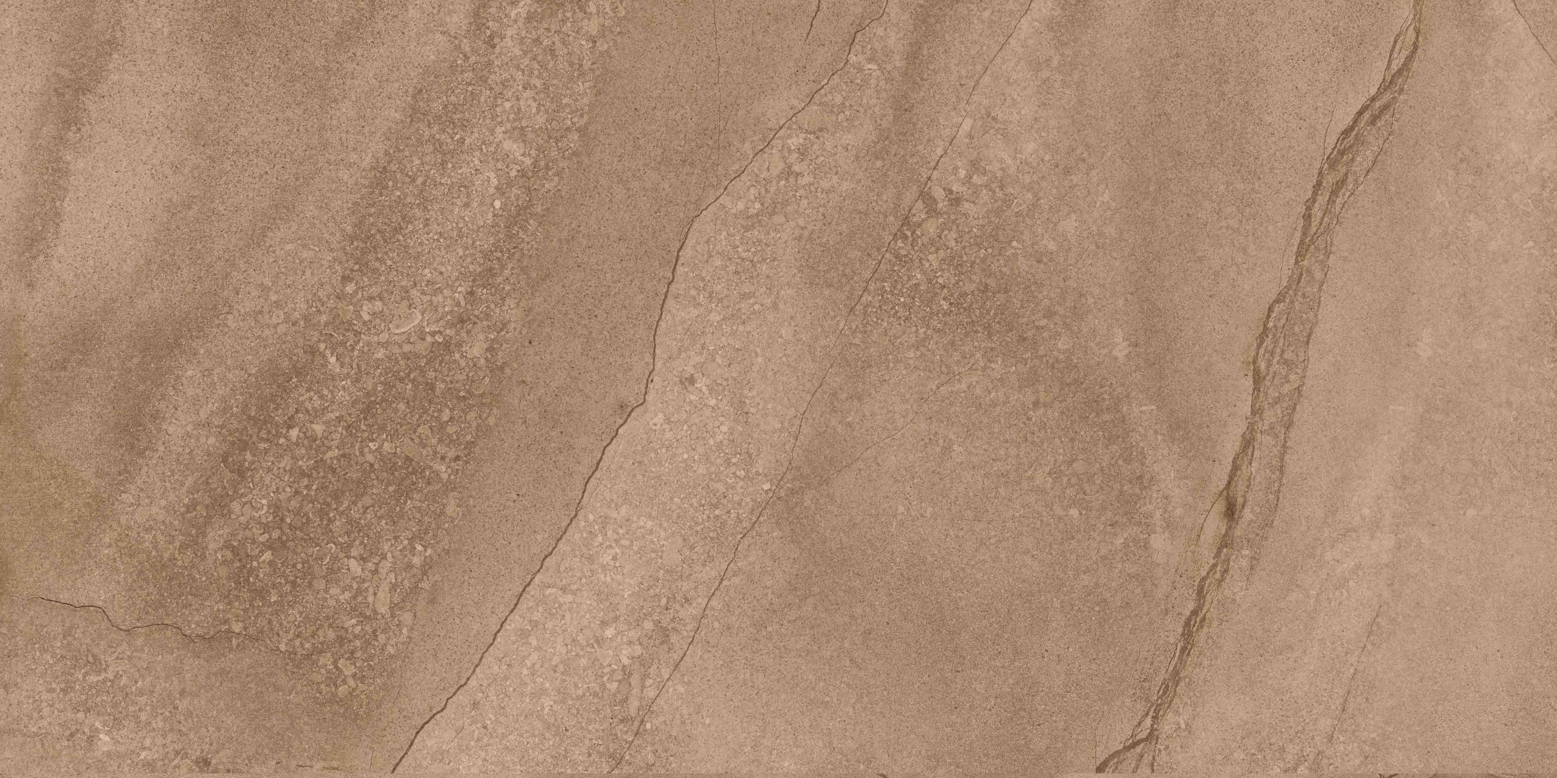 尊龙凯时官网版登录·(中国)官网