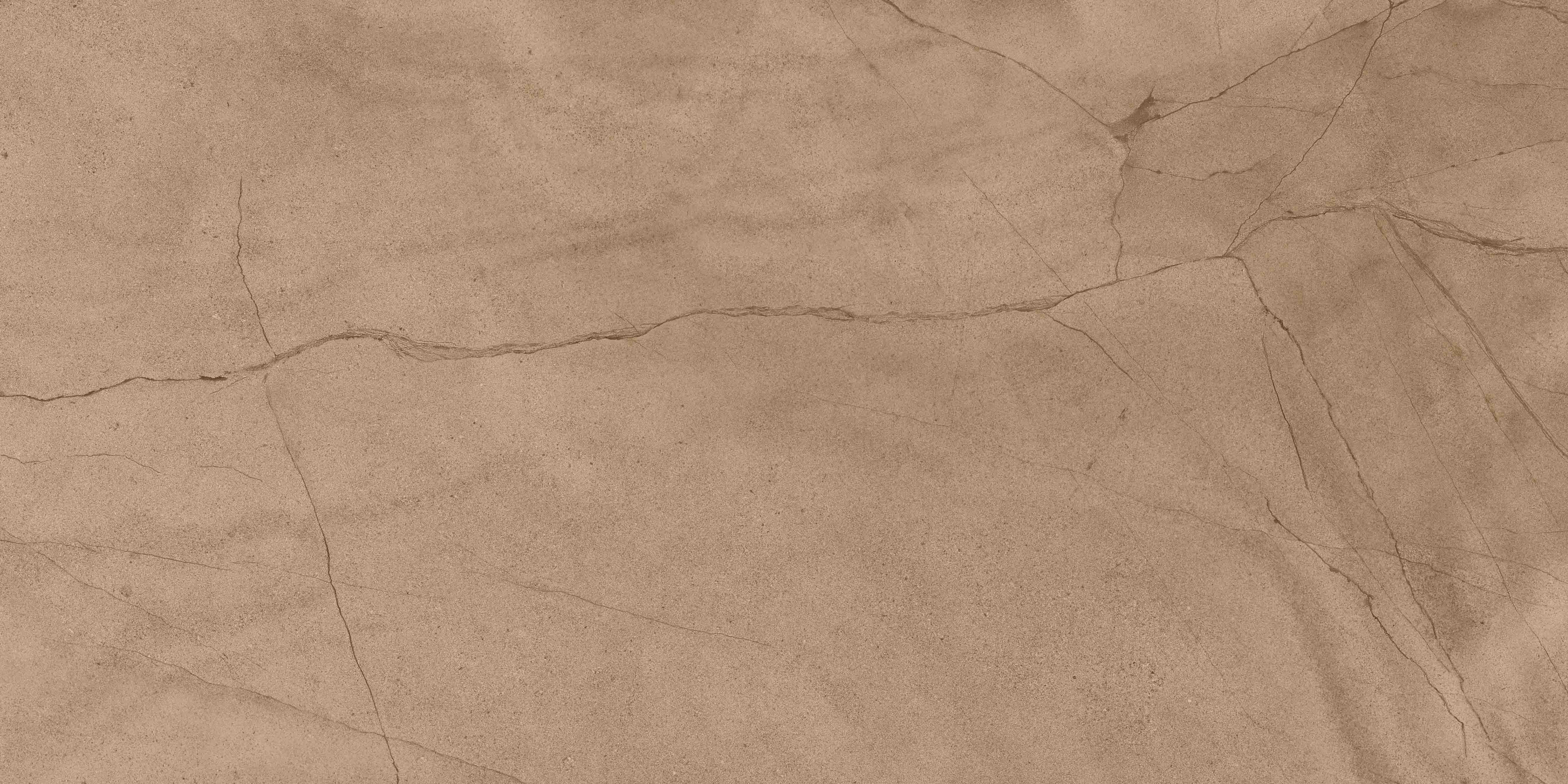 尊龙凯时官网版登录·(中国)官网