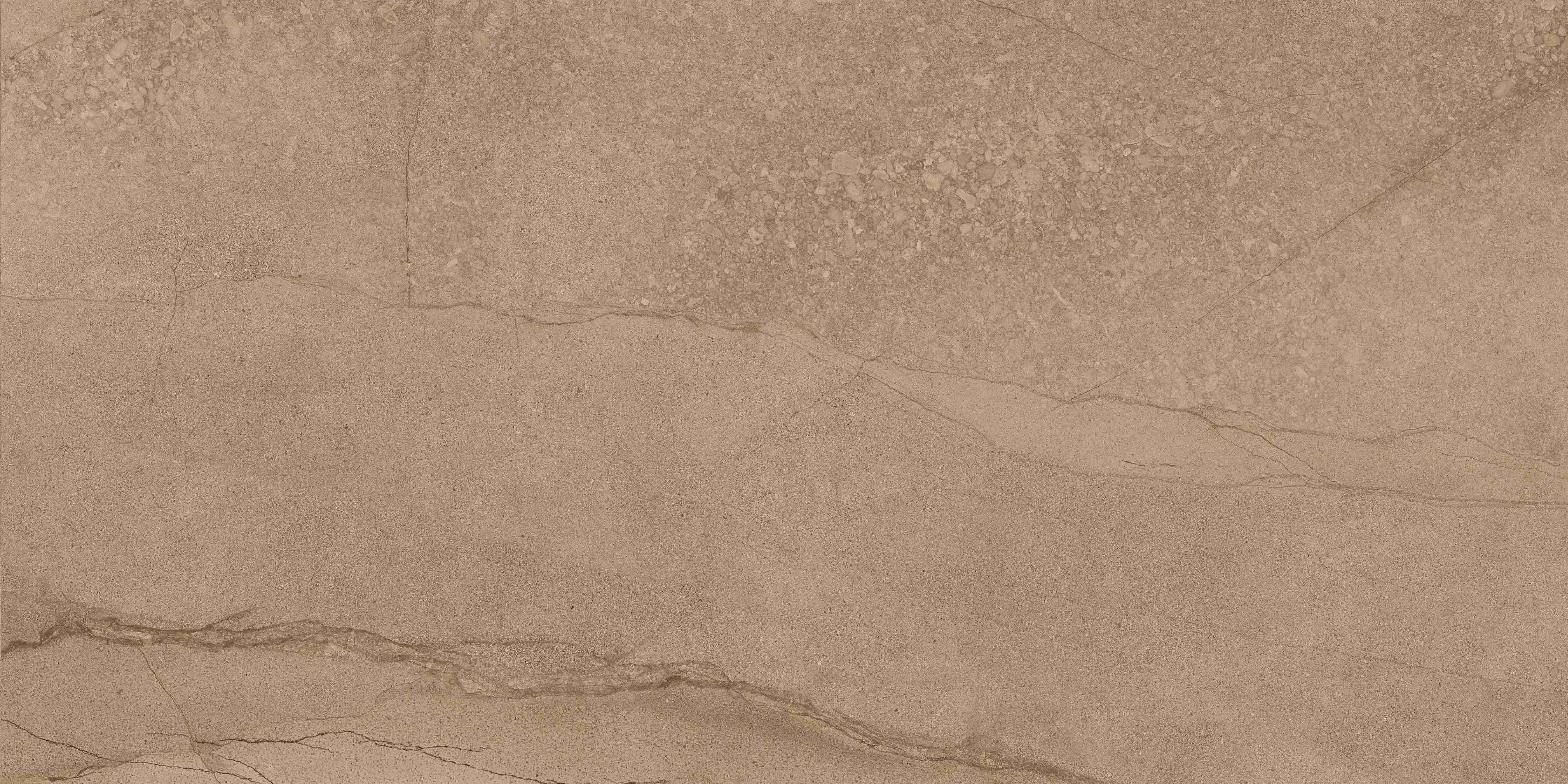 尊龙凯时官网版登录·(中国)官网