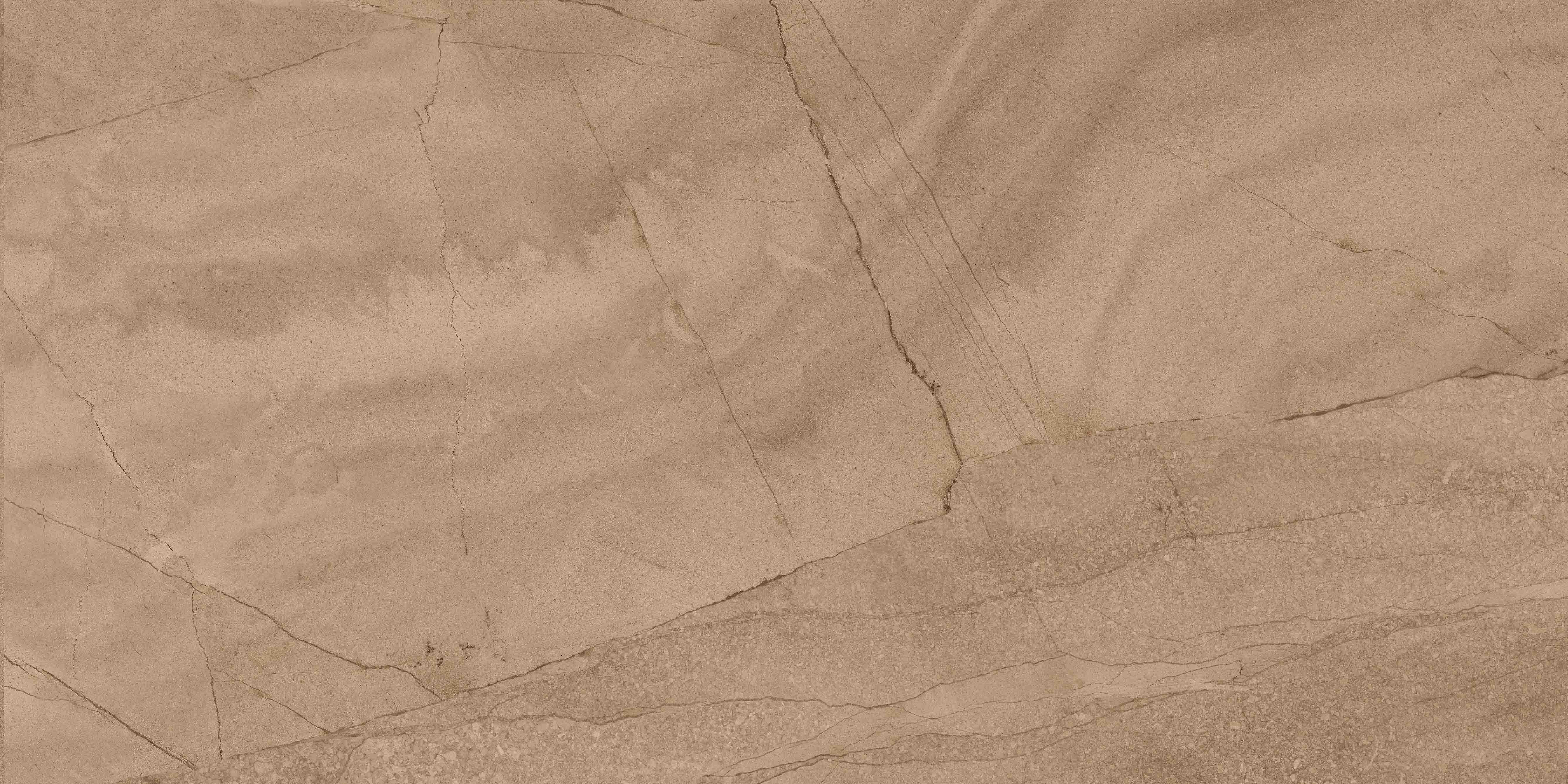 尊龙凯时官网版登录·(中国)官网