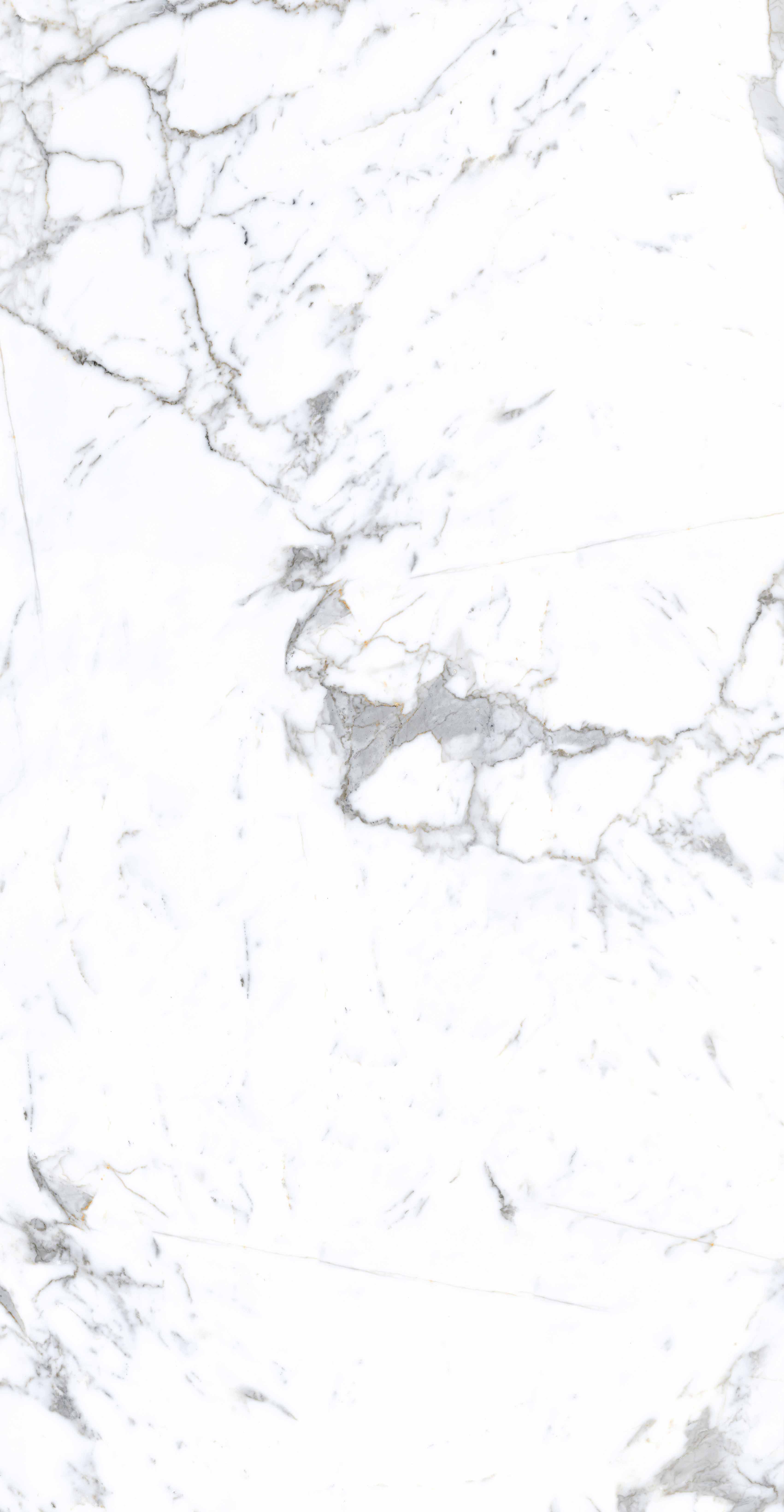 尊龙凯时官网版登录·(中国)官网