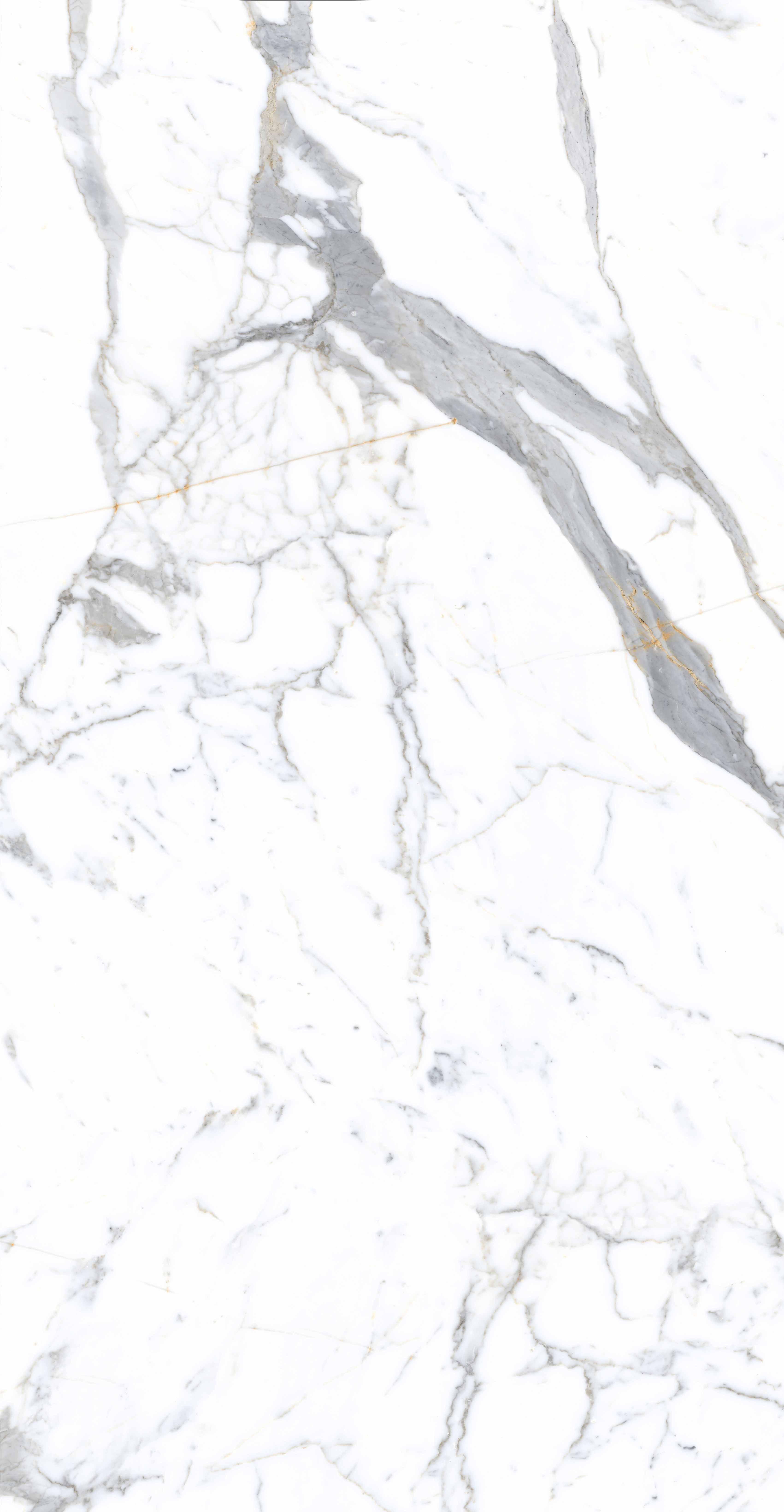 尊龙凯时官网版登录·(中国)官网