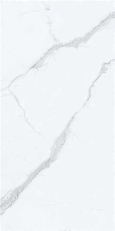 尊龙凯时官网版登录·(中国)官网