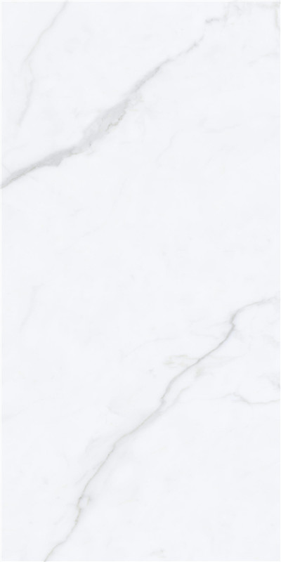 尊龙凯时官网版登录·(中国)官网