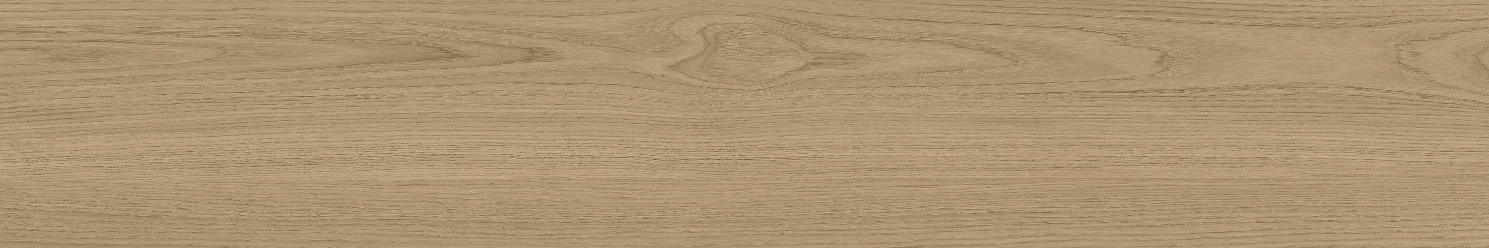 尊龙凯时官网版登录·(中国)官网