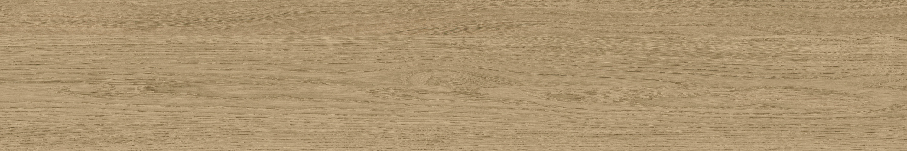 尊龙凯时官网版登录·(中国)官网