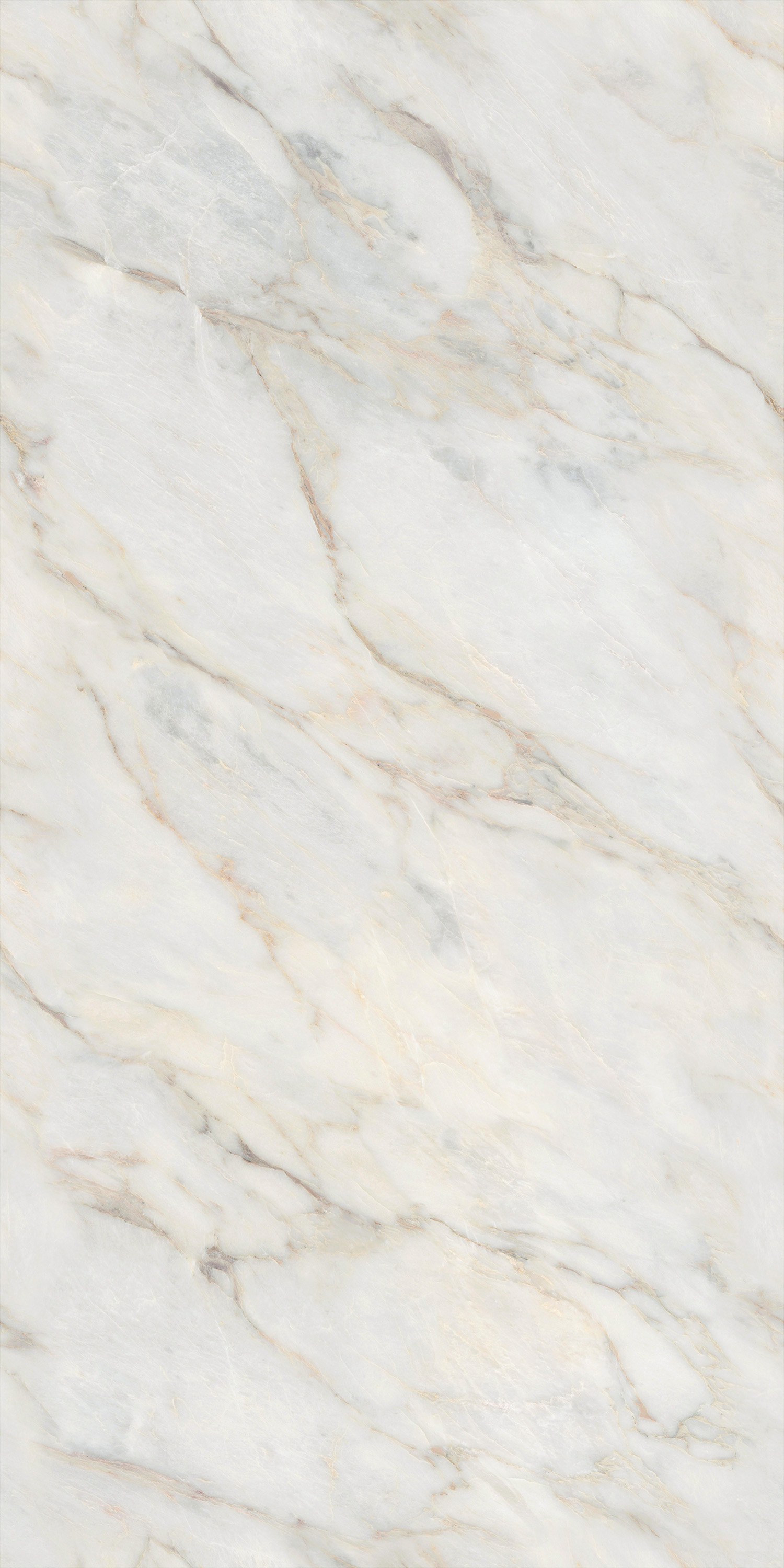 尊龙凯时官网版登录·(中国)官网