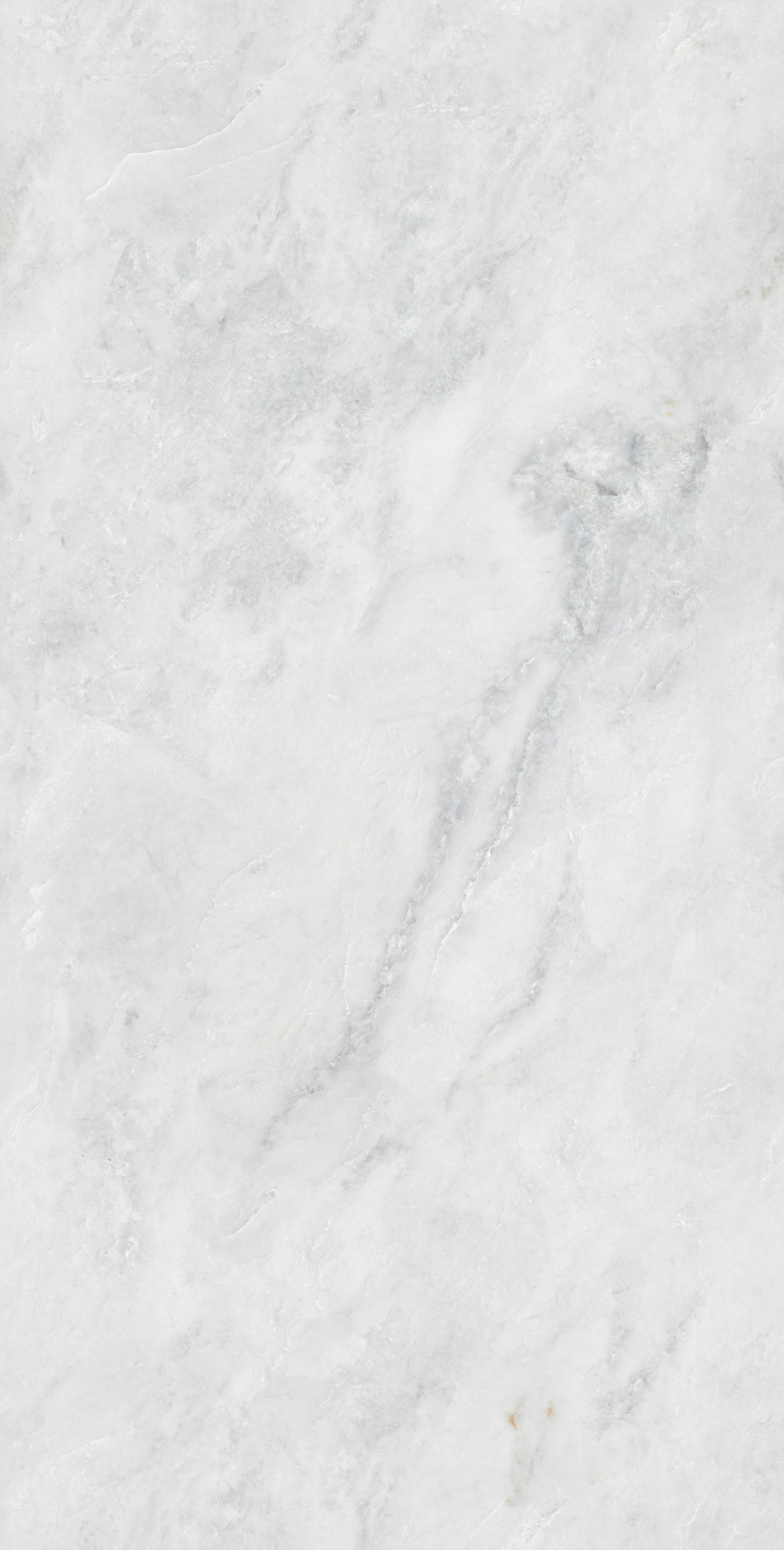 尊龙凯时官网版登录·(中国)官网